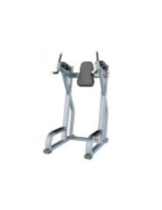 Vertical Knee Up Precor Series