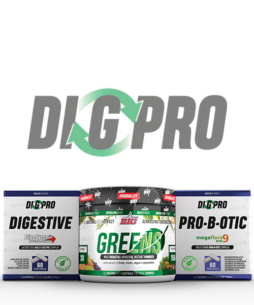 DIG Pro System