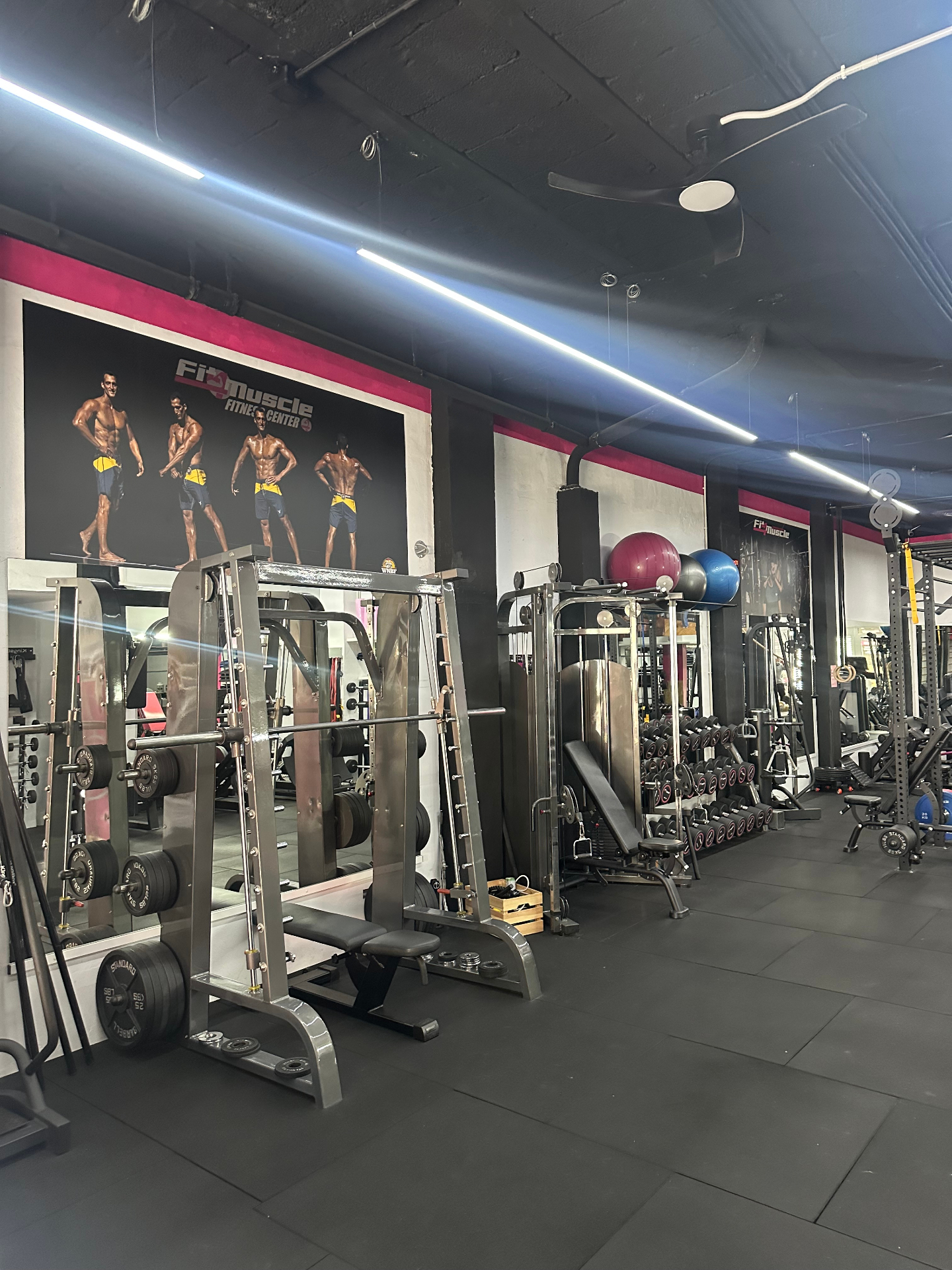 Interior del gimnasio - Zona de entrenamiento